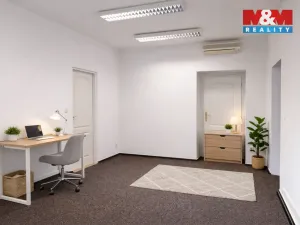 Pronájem kanceláře, Ostrava - Moravská Ostrava, Puchmajerova, 37 m2