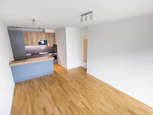 Prodej bytu 3+kk, Praha - Žižkov, U Viktorie, 69 m2
