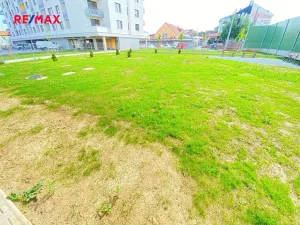 Pronájem bytu 2+kk, Plzeň, U Borských kasáren, 54 m2