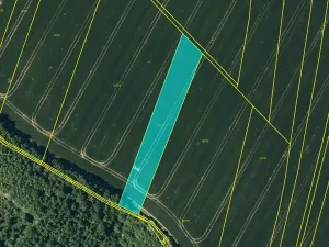 Prodej pole, Kojetín, 2603 m2