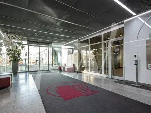 Pronájem obchodního prostoru, Praha - Holešovice, Jankovcova, 291 m2