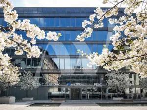 Pronájem kanceláře, Praha - Holešovice, Jankovcova, 330 m2