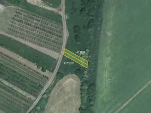 Prodej pole, Moravská Nová Ves, 5711 m2