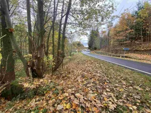 Prodej pozemku, Hartmanice, 2902 m2