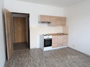 Pronájem bytu 1+kk, Písek, Dr. M. Horákové, 20 m2