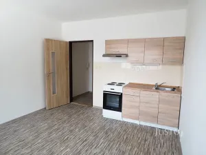 Pronájem bytu 1+kk, Písek, Dr. M. Horákové, 20 m2