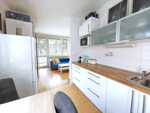 Prodej bytu 1+1, Čelákovice, Rumunská, 33 m2