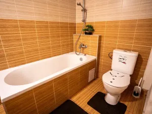 Prodej vícegeneračního domu, Hostinné, Dolní brána, 255 m2