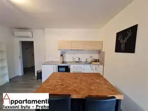 Pronájem bytu 2+kk, Praha - Vinohrady, Na Švihance, 73 m2