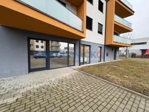 Pronájem bytu 3+kk, České Budějovice, Rožnovská, 61 m2