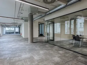 Pronájem kanceláře, Praha - Nové Město, Václavské náměstí, 327 m2