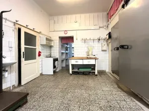 Pronájem obchodního prostoru, Brno, Gorkého, 101 m2