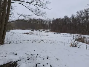 Prodej pozemku, Odrava, 5732 m2