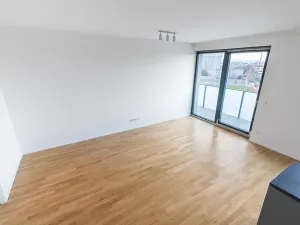 Prodej bytu 2+kk, Praha - Žižkov, U Viktorie, 63 m2