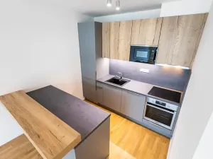 Prodej bytu 3+kk, Praha - Žižkov, U Viktorie, 70 m2