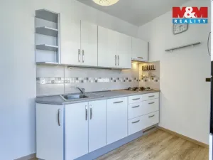 Pronájem bytu 2+1, Plzeň - Východní Předměstí, Francouzská třída, 55 m2