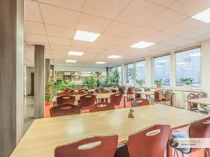 Pronájem kanceláře, Praha, Dopraváků, 258 m2