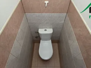 Prodej bytu 3+1, Konstantinovy Lázně, 69 m2