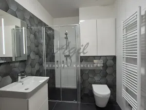 Pronájem bytu 2+kk, Brno, 54 m2