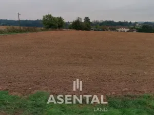 Prodej pozemku, Rychvald, Úvozní, 12432 m2