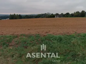 Prodej pozemku, Rychvald, Úvozní, 12432 m2