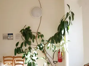 Pronájem kanceláře, Praha - Malá Strana, Karmelitská, 28 m2