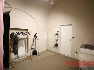 Pronájem obchodního prostoru, Plzeň, Bezručova, 53 m2