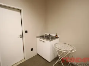 Pronájem obchodního prostoru, Plzeň, Bezručova, 53 m2