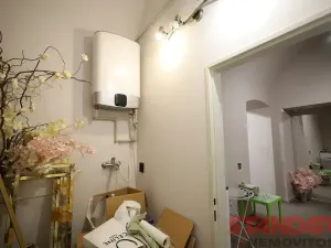 Pronájem obchodního prostoru, Plzeň, Bezručova, 53 m2