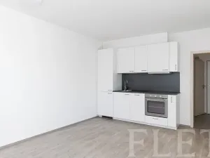 Pronájem bytu 2+kk, Praha - Hodkovičky, Šífařská, 48 m2