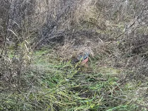 Prodej pozemku pro bydlení, Hřebeč, Zátopkova, 815 m2