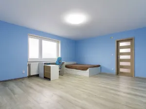 Prodej rodinného domu, Hostomice, Nádražní, 190 m2