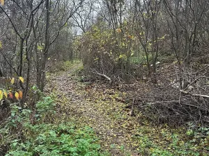 Prodej komerčního pozemku, Brno, Vinohrady, 990 m2