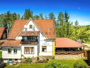 Prodej ubytování, Větřní, 250 m2