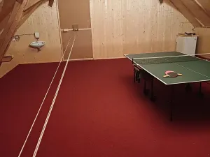 Prodej rodinného domu, Vyklantice, 660 m2