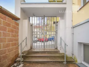 Prodej bytu 1+kk, Praha - Nusle, U družstva Ideál, 25 m2