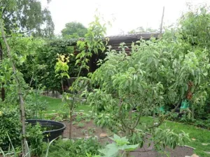 Dražba skladu, Jílové u Prahy, Pražská, 10 m2