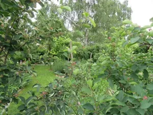 Dražba skladu, Jílové u Prahy, Pražská, 10 m2