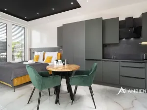 Pronájem bytu 1+kk, Šanov, 28 m2