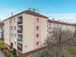 Prodej bytu 3+1, Praha - Strašnice, Dětská, 100 m2