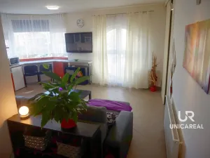 Pronájem bytu 1+kk, Brno - Židenice, Táborská, 33 m2