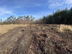 Prodej lesa, Veliny, 4968 m2