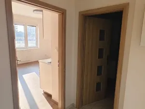 Pronájem bytu 2+kk, Praha - Žižkov, Basilejské náměstí, 48 m2