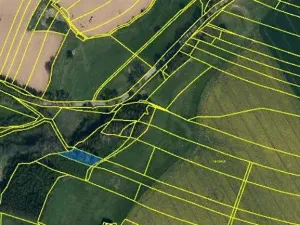 Prodej lesa, Mnich, 1237 m2