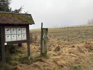 Prodej pozemku, Bublava, 954 m2