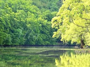 Pronájem bytu 1+kk, Brno - Horní Heršpice, Jižní, 43 m2