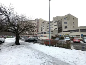 Pronájem bytu 1+kk, Litvínov, Koldům, 32 m2