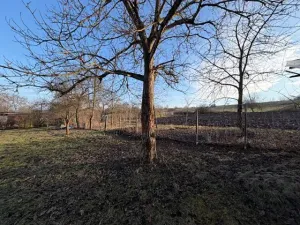 Prodej zahrady, Milý, 554 m2