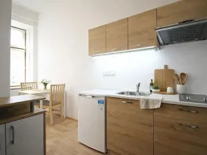 Pronájem bytu 1+kk, Brno, Koliště, 20 m2