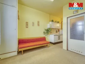 Prodej bytu 1+1, Plzeň - Doudlevce, Révová, 46 m2